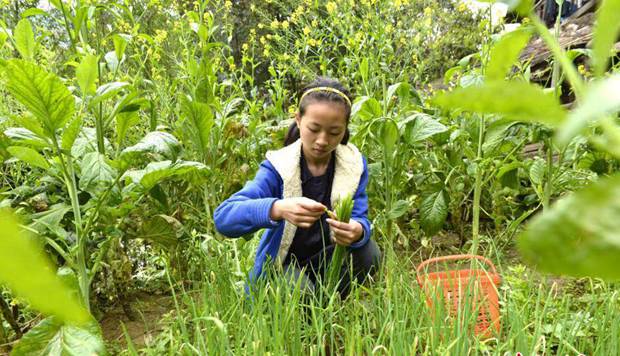 12歲女孩撐起一個家