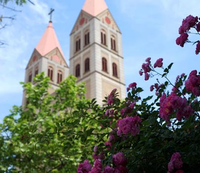 放慢腳步 感受青島的多彩初夏 放慢腳步 感受青島的多彩初夏