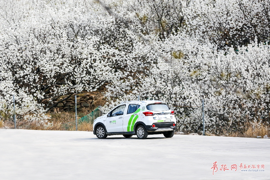 醉美地铁季--当11号线遇上花·海摄影大赛启动