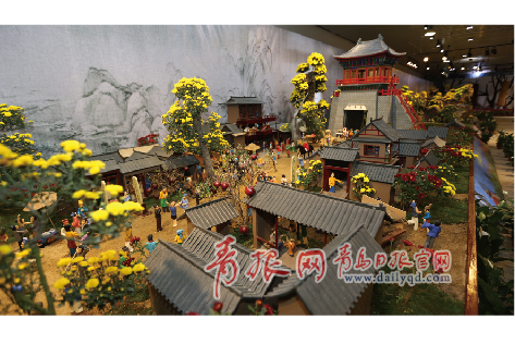 青島世園會(huì) 青島旅游 心花路放 國(guó)慶節(jié)世園會(huì) 重陽(yáng)節(jié) 菊花競(jìng)賽