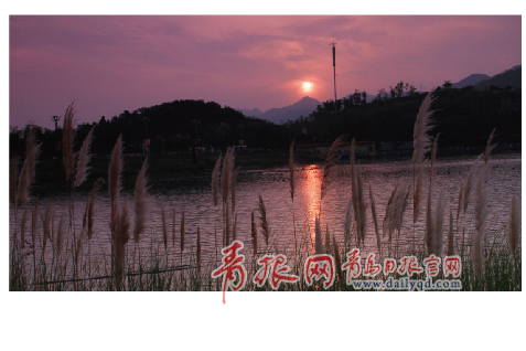 青島世園會 青島秋天 青島旅游 世園之秋 世園秋色