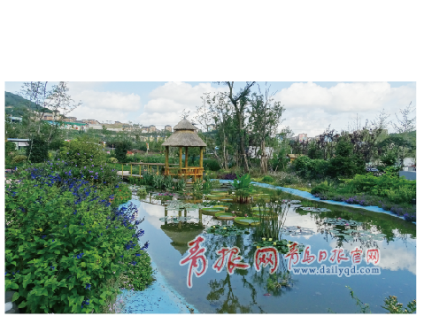 青島世園會 青島秋天 青島旅游 世園之秋 世園秋色