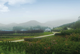 青島一村兩景入選“國字號”