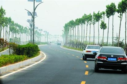 大沽河重新煥發(fā)生命活力 兩岸四季有景