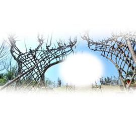 世園會主題館完成調(diào)試 倡議文明游園