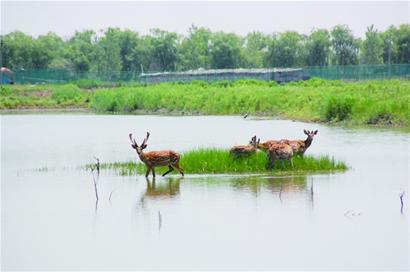 今年十大重點(diǎn)產(chǎn)業(yè)規(guī)劃公布 含航空郵輪等