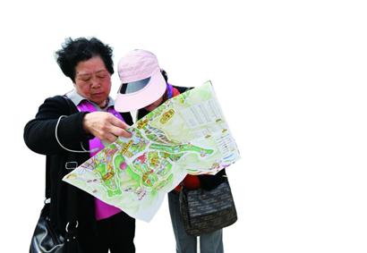 江蘇園荷蘭園游客最多 北極冰吧受熱捧