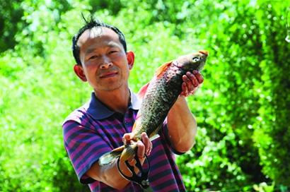 大沽河原生態(tài)濕地景色迷人 農(nóng)家宴1天進(jìn)賬2千