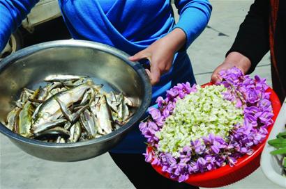 大沽河原生態(tài)濕地景色迷人 農(nóng)家宴1天進(jìn)賬2千