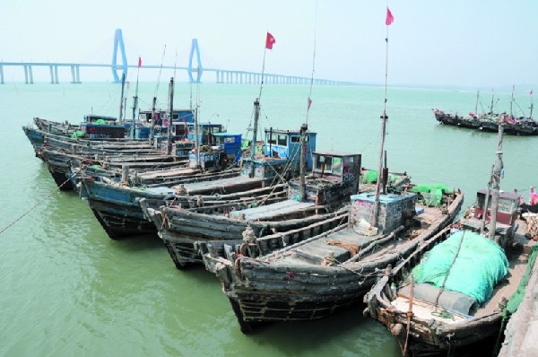 海鮮休產(chǎn)假亂捕要嚴(yán)查 下月起休漁三個(gè)月(圖)