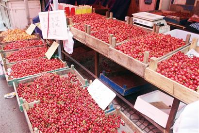 煙臺櫻珠大舉進(jìn)軍青島市場 價(jià)格還要繼續(xù)降