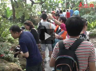 世園熱度不減，降溫妙招頻現(xiàn)