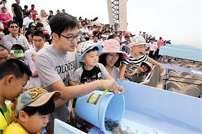 海洋日，青島“放流”小魚(yú)小蝦