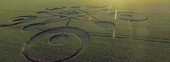 英國(guó)驚現(xiàn)2014年首個(gè)麥田怪圈 長(zhǎng)約122米(高清組圖)