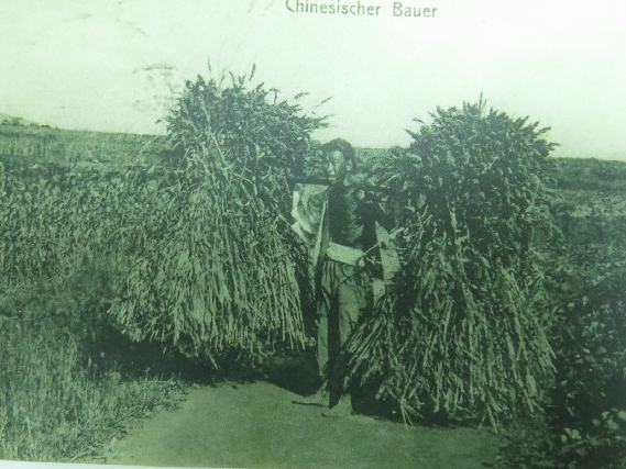 老青島人表情百態(tài)：憨厚的老漢 嬌羞的美人