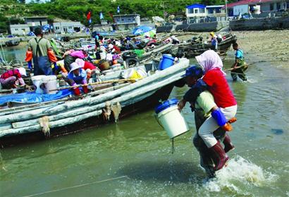 開捕首日 10萬斤海蜇上岸