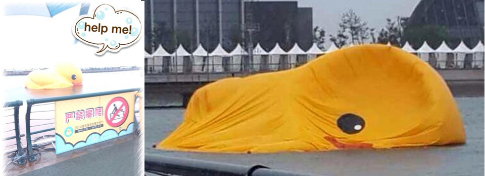 臺風吹趴大黃鴨 有才網(wǎng)友寫《大黃鴨列傳》調(diào)侃