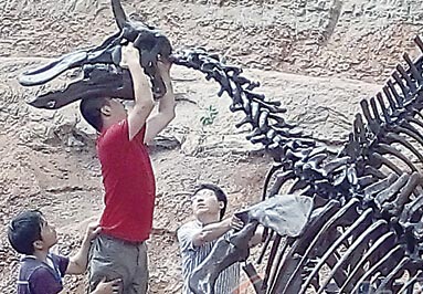 “棘鼻青島龍”63年后返鄉(xiāng)