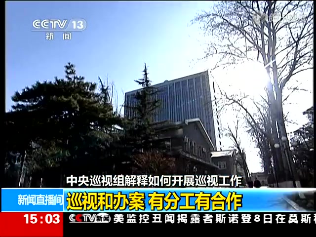 領(lǐng)導(dǎo)小組解釋如何開展巡視工作截圖