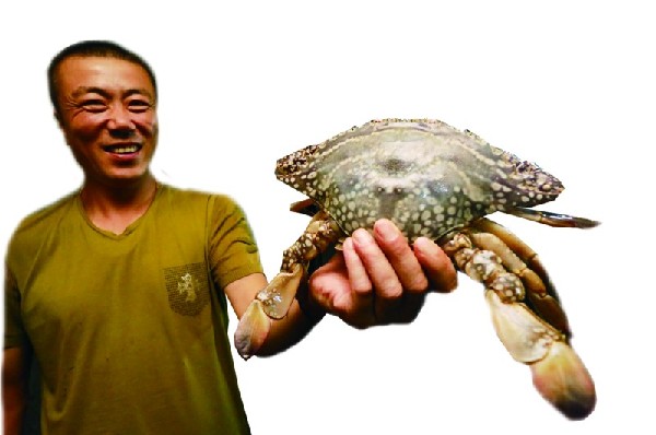 今年蝦蟹開(kāi)海捕撈 青島蟹個(gè)大肉肥價(jià)格平民化