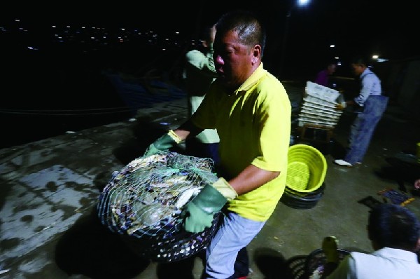 今年蝦蟹開(kāi)海捕撈 青島蟹個(gè)大肉肥價(jià)格平民化