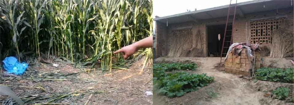 河北13歲少女上學途中被奸殺 嫌犯曾入獄21年