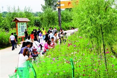 觀民俗摘瓜果 近郊游走起 觀民俗摘瓜果 近郊游走起