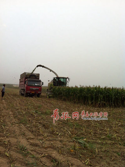 收割秸稈