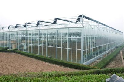 蔬果港明年9月建成 市民網(wǎng)上購買2小時內(nèi)送到家