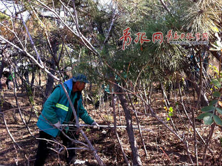 園林工人在辛勤搬草 李滄 園林工人在辛勤搬草 李滄
