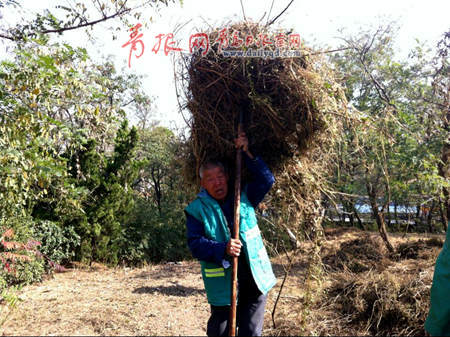 園林工人在辛勤搬草 李滄 園林工人在辛勤搬草 李滄