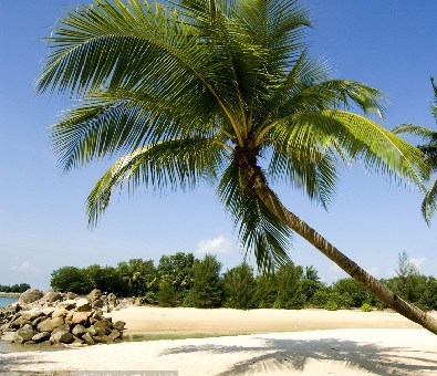 一生旅行計(jì)劃表 對(duì)的年齡遇見(jiàn)對(duì)的風(fēng)景