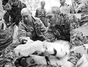 　　普京協(xié)助科學(xué)家給老虎戴上裝有衛(wèi)星跟蹤器的項(xiàng)圈（資料圖片）