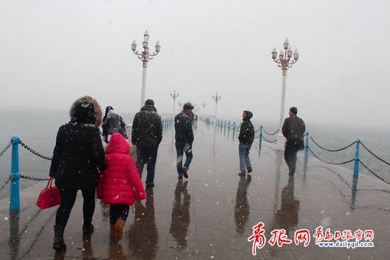 新年礼物 2014年青岛最后一场雪陪你跨年 青报网-青岛日报官网