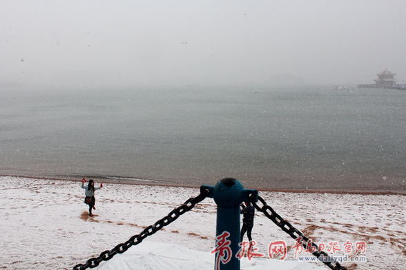 新年礼物 2014年青岛最后一场雪陪你跨年 青报网-青岛日报官网