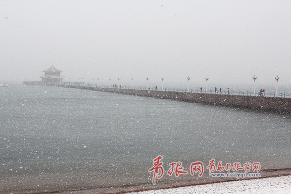 新年礼物 2014年青岛最后一场雪陪你跨年 青报网-青岛日报官网