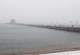 青島最后一場(chǎng)雪陪你跨年