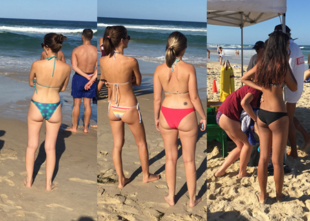 澳洲海岸群芳斗艷 青島你咋看？