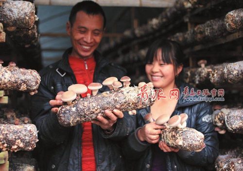 織圍脖 微博 平度拓展政務(wù)精準(zhǔn)化民生服務(wù) 織圍脖 微博 平度拓展政務(wù)精準(zhǔn)化民生服務(wù)