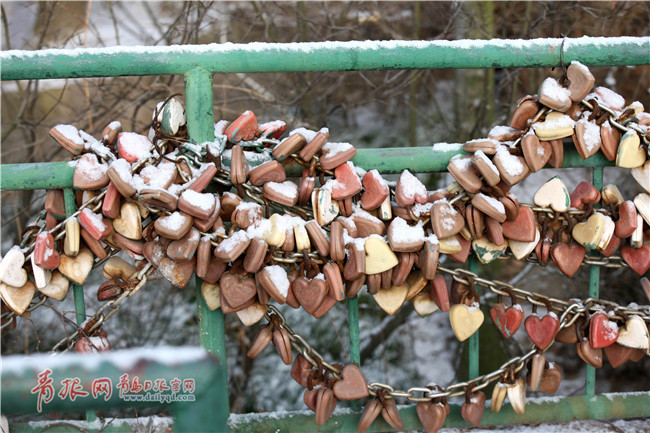 你好，2015年的第一場雪