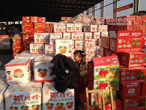 即墨 春節(jié)觀察 健康消費(fèi)觀念引領(lǐng)年貨采購單