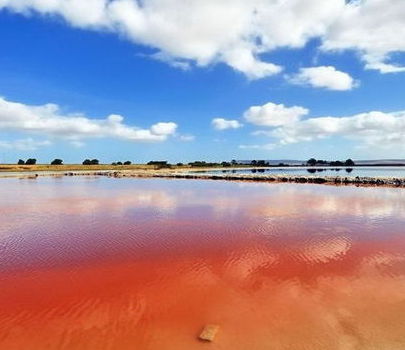 如夢如幻！世界各地奇異粉色沙灘和湖泊！