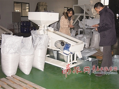 萊西現(xiàn)代種業(yè)孵化器：哺育與反哺的嘗試