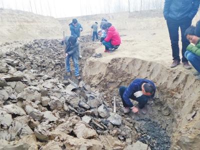 河南一工地疑挖出宋朝蓮子 村民稱吃著焦香(圖)