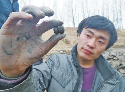 河南一工地疑挖出宋朝蓮子 村民稱吃著焦香(圖)