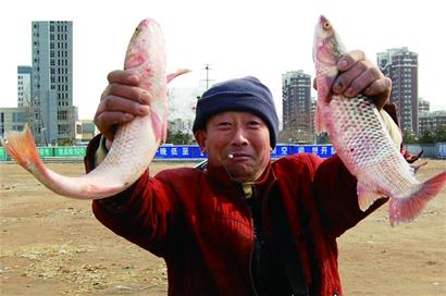 春節(jié)后新鮮梭魚熱銷 清燉紅燒怎么吃都鮮