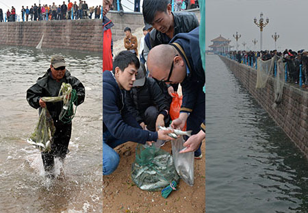 棧橋捕魚(yú)人暴走 墨鏡哥一網(wǎng)200條
