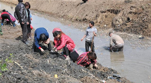 江蘇一工地挖出古錢(qián)幣 村民紛紛趕來(lái)“淘寶”