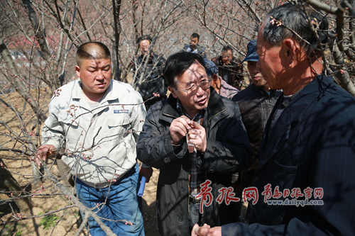 城陽農(nóng)業(yè)專家給農(nóng)戶授課