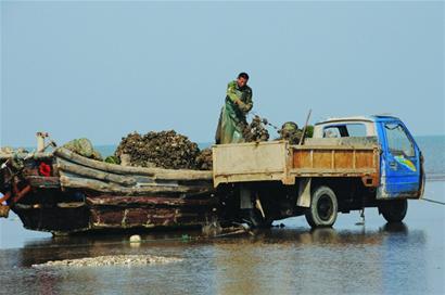 南京海鲜养殖员招聘_海鲜图片大全_海鲜疙瘩汤(2)